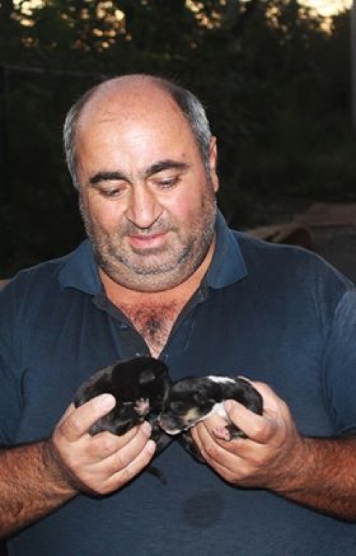 მეტისი უსახელო