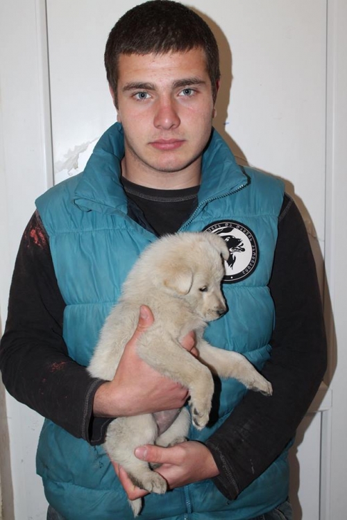 მეტისი უსახელო