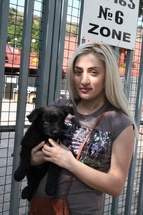 მეტისი უსახელო