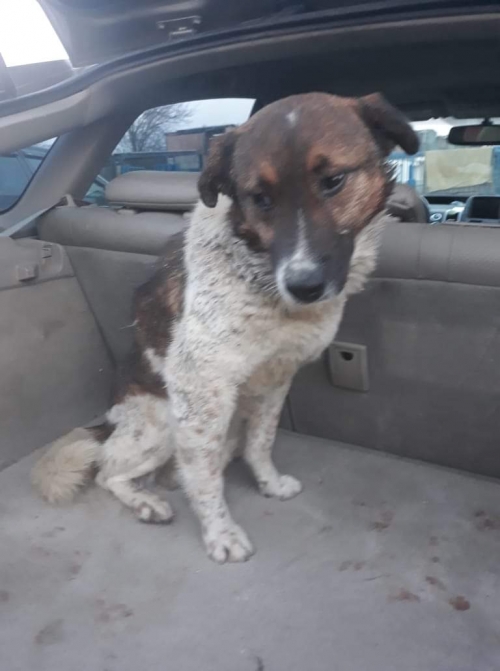 მეტისი კასპი.სოფ.ერთაწმინდა