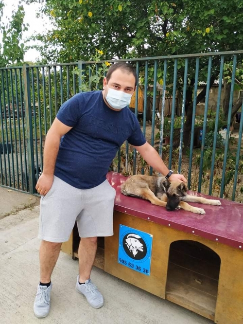 ქართული ქოფაკი ნაპოვნია რუსთავში