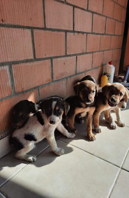 მეტისი კაიროს მე 3 ქუჩა