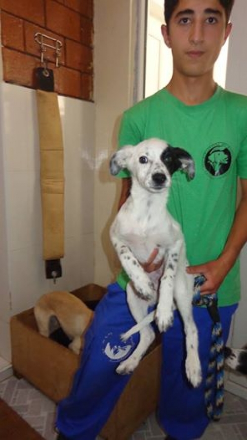 მეტისი უსახელო