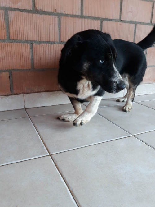 მეტისი ნახალოვკა ილურიძეს ქუჩა