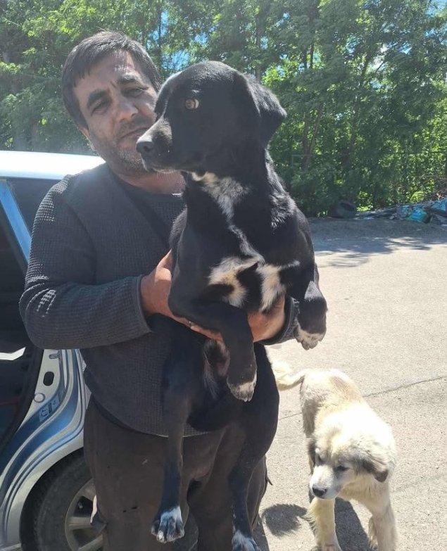 მეტისი. დიდი დიღომი