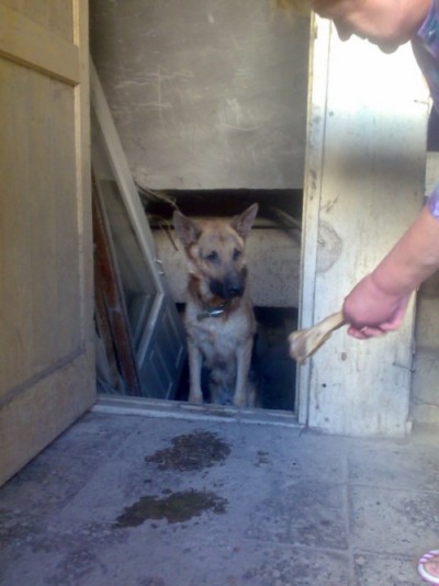 * გარდაცვლილები