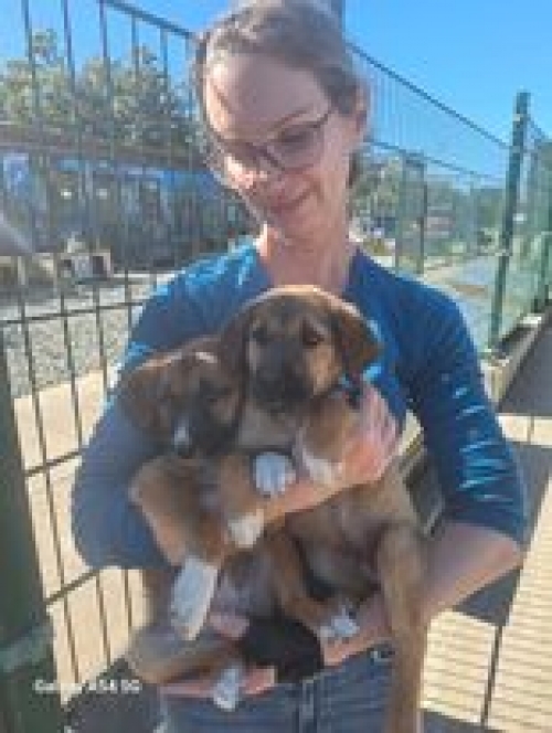 მეტისი კახეთი