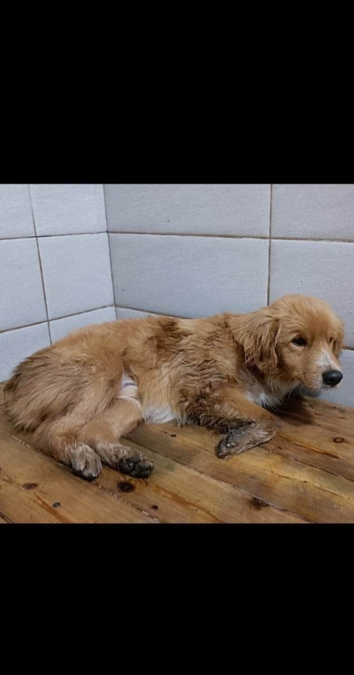 მეტისი კაირო მე 3 ქუჩა