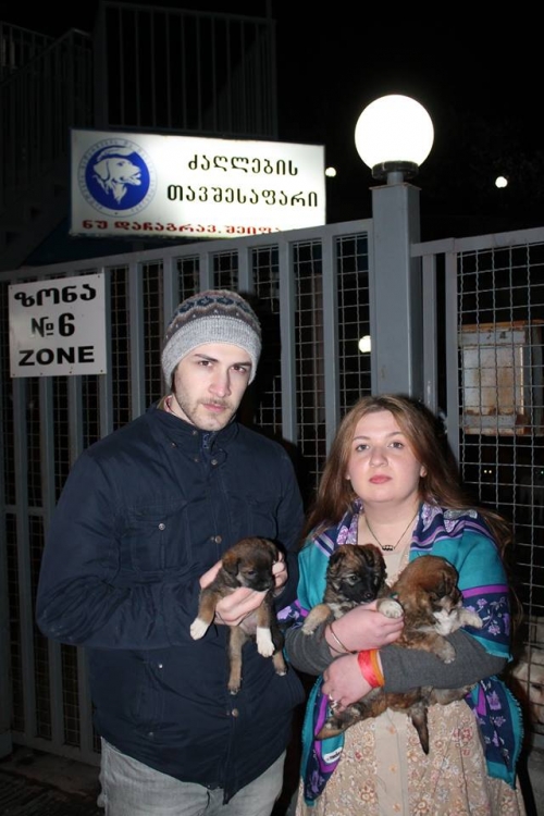 მეტისი უსახელო