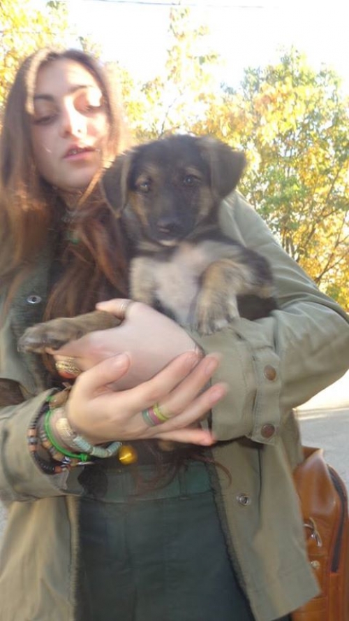 მეტისი უსახელო