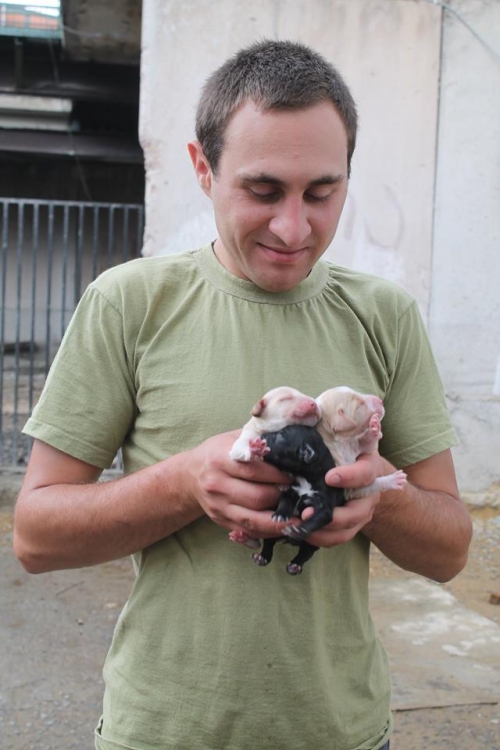 კოკერსპანელის მეტისი უსახელო