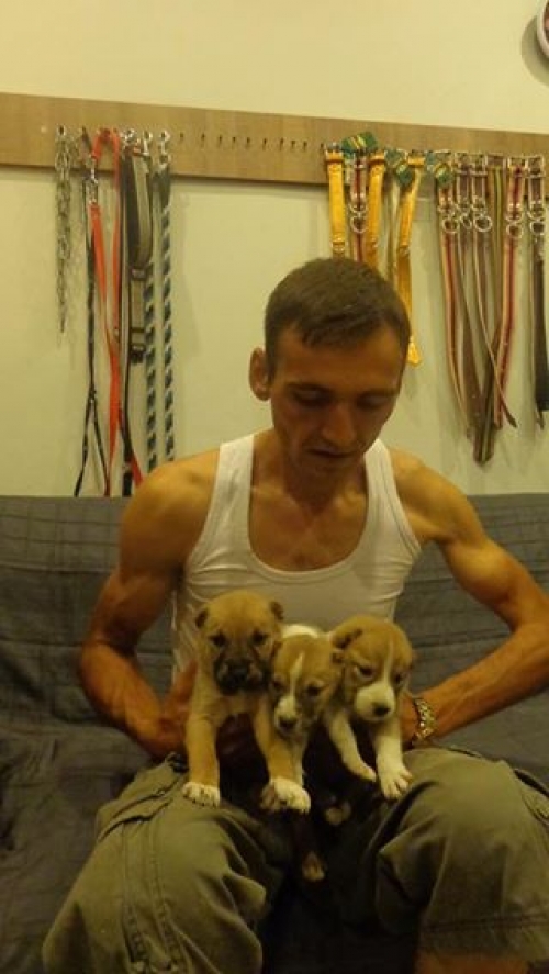 ქართული ქოფაკი უსახელოები