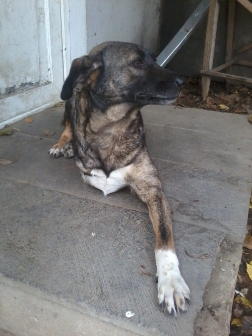 მეტისი აეროპორტა