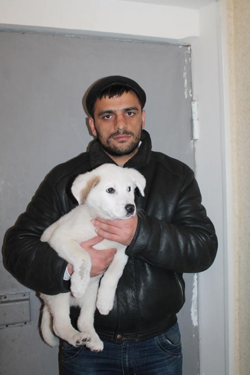 მეტისი უსახელო