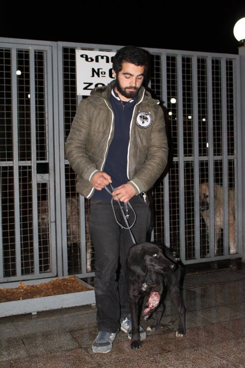 მეტისი უსახელო