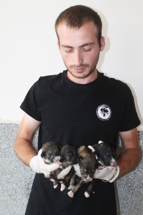 მეტისი უსახელო