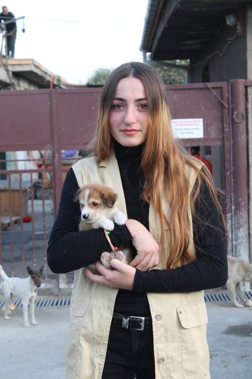 მეტისი უსახელო