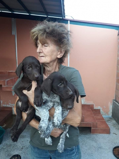 კურცხაარი კაიროს მე 3 ქუჩა