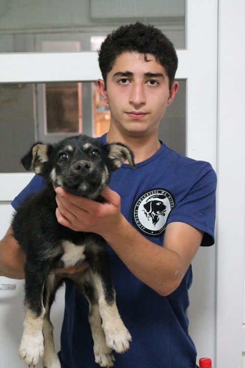 მეტისი უსახელო