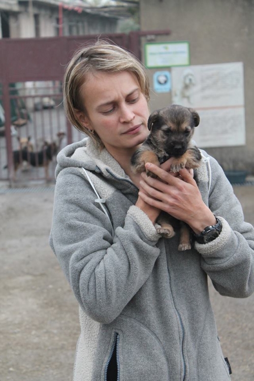 მეტისი უსახელო