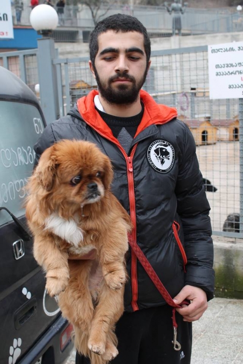 პეკინესი უსახელო