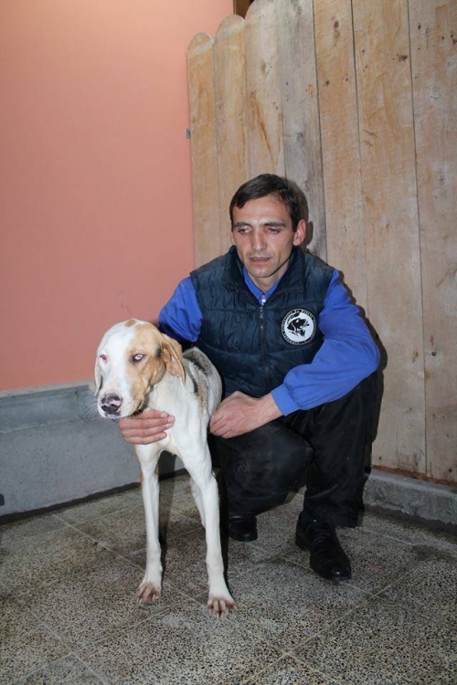 გონჩი უსახელო