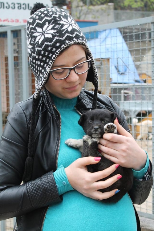 მეტისი უსახელო