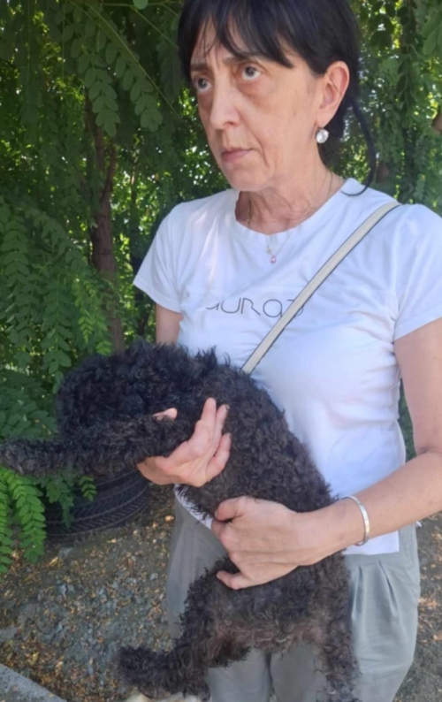 მეტისი ჯუნა