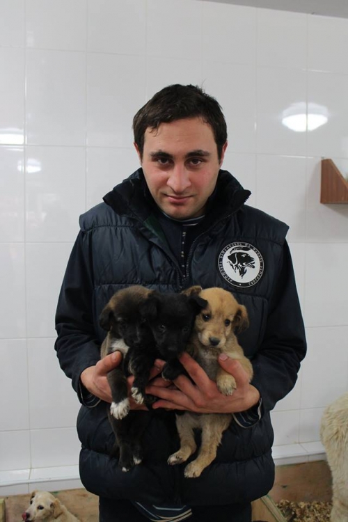 მეტისი უსახელო