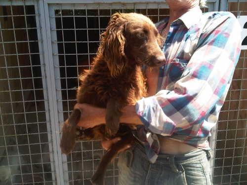 * გაჩუქებულები ბადრი