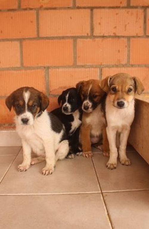 მეტისი უსახელო