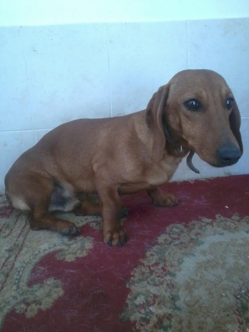 ტაქსა უცნობი