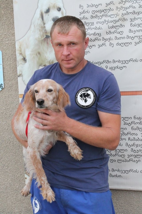 კოკერსპანელის მეტისი უსახელო