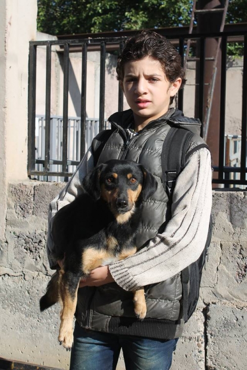 ტაქსას მეტისი უსახელო