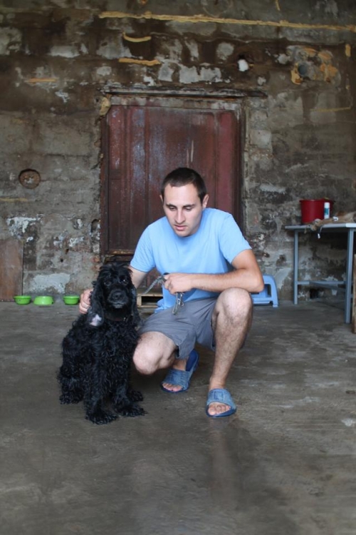 კოკერსპანიელი ადოლფი