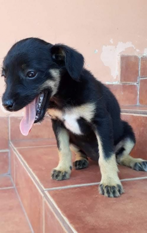 მეტისი უსახელო