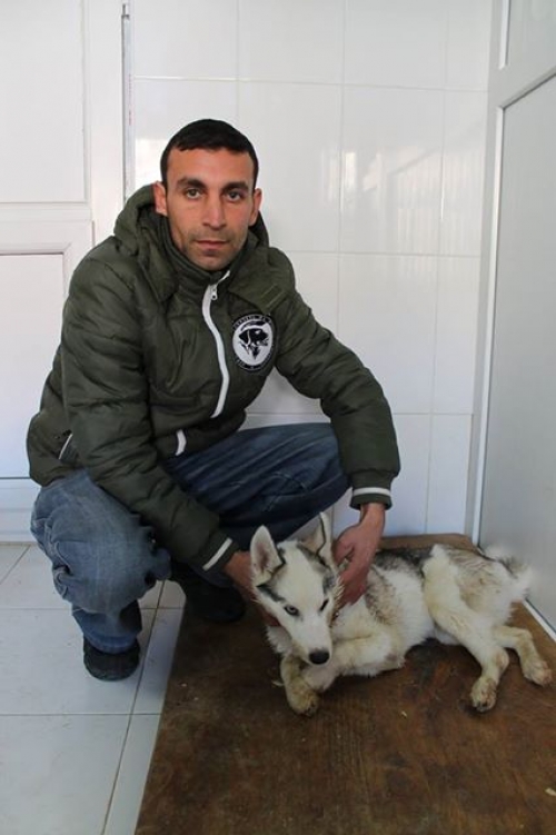 ლაიკა პერი