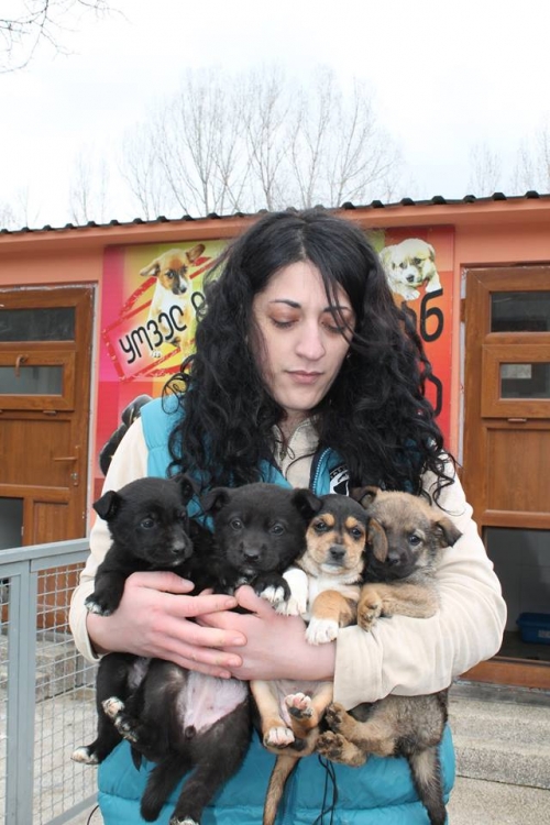 მეტისი უსახელო