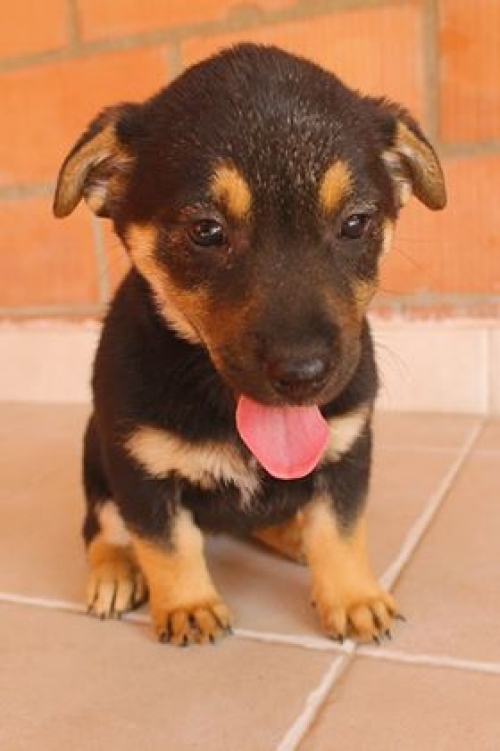 მეტისი უსახელო