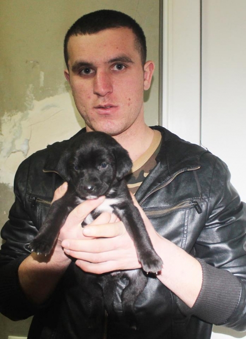 მეტისი უსახელო