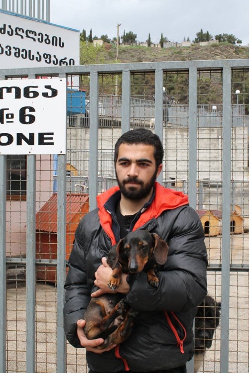 ტაქსა უსახელო