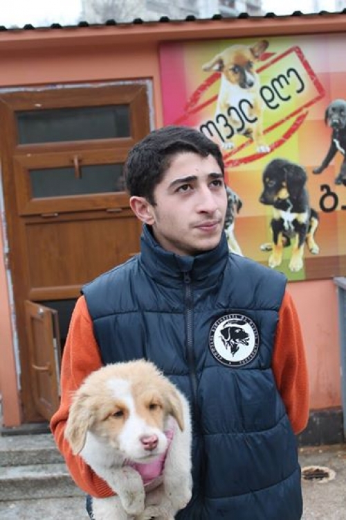 მეტისი უსახელო