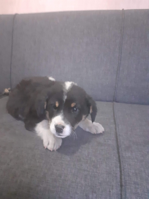 მეტისი უსახელო