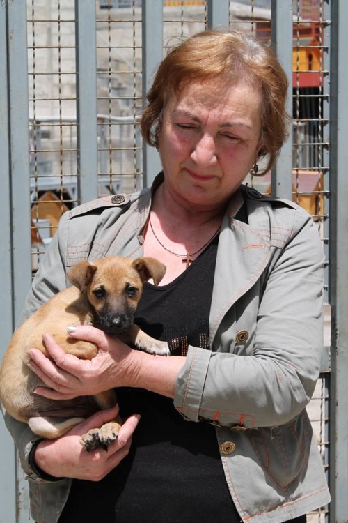 მეტისი ჩარლი