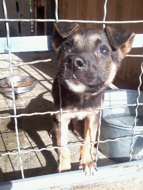 მეტისი უსახელო