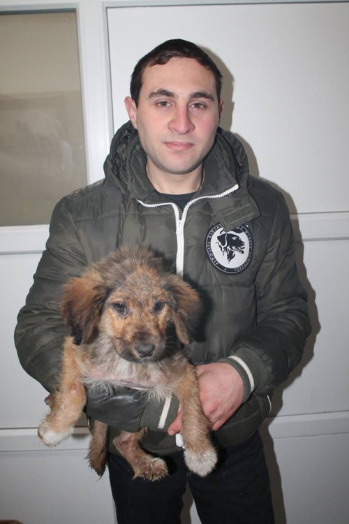 მეტისი უსახელო