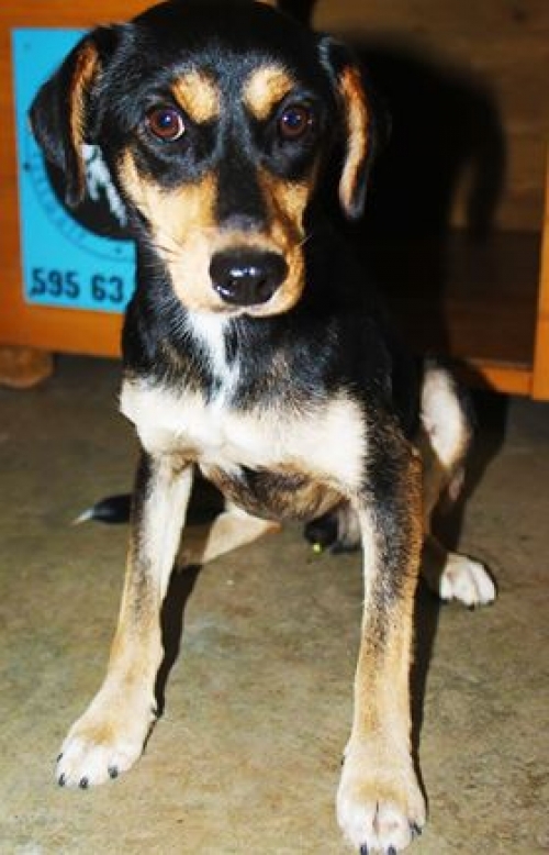 მეტისი უსახელო