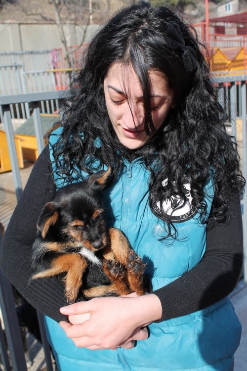 მეტისი კუსა