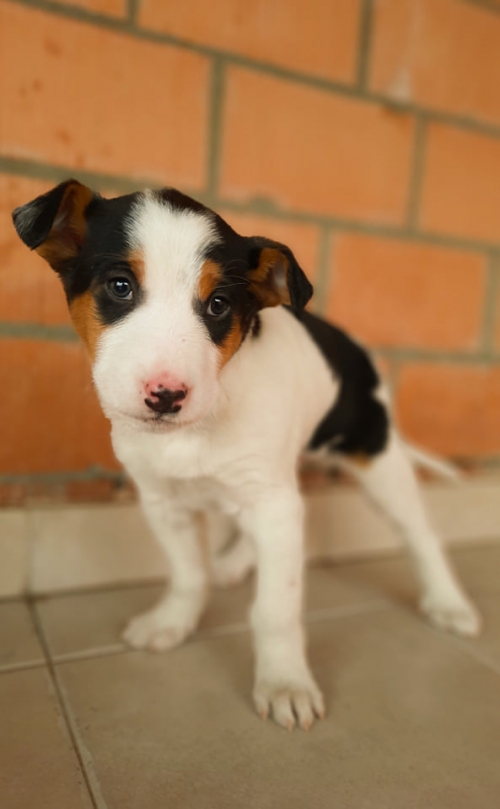 მეტისი ნავთლუღის დასახლებაში ბალავარის კომპლექსსში იპოვა