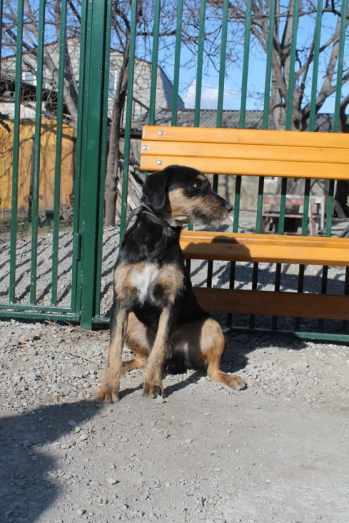 მეტისი უსახელო